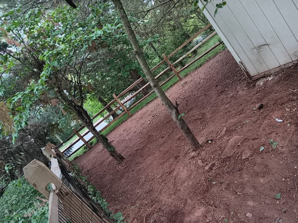 Professional Leaf Removal service in Wichita Kansas by Prestige Lawn Care