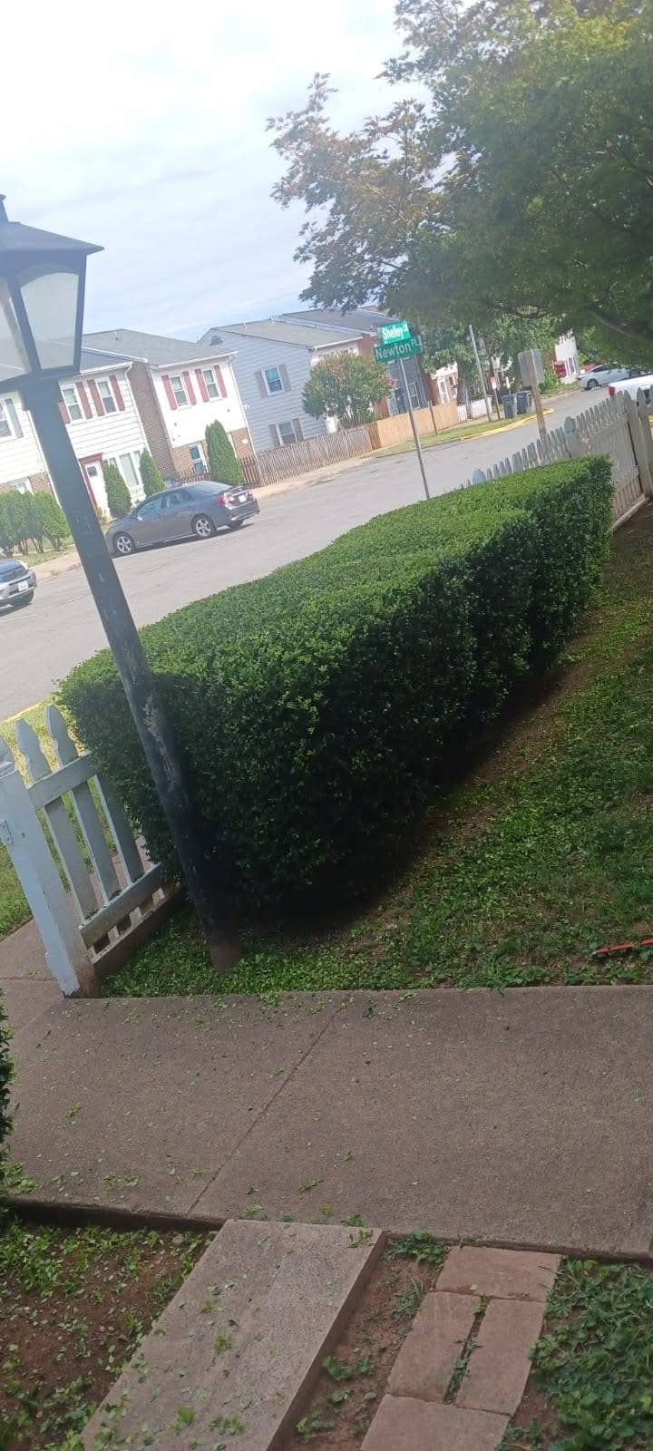 Professional shrub shaping and pruning service for residential property in Rose Hill Kansas