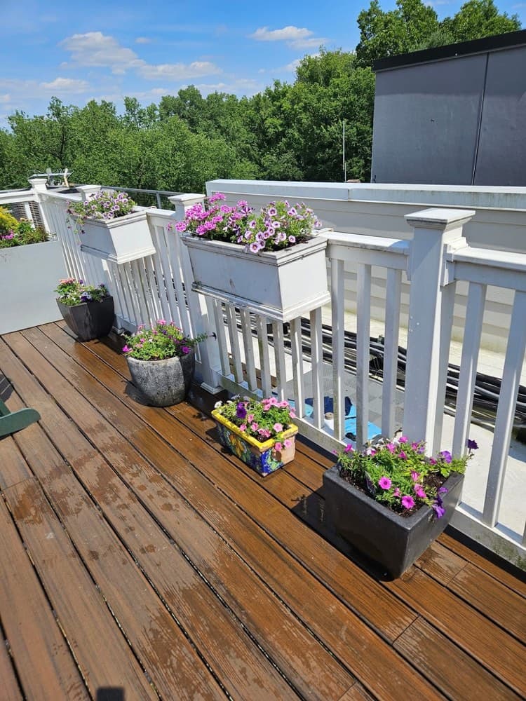 Professional Garden Maintenance service in Wichita Kansas - garden maintenance Wichita KS, flower bed care Andover, garden service Derby Kansas, plant care and weeding