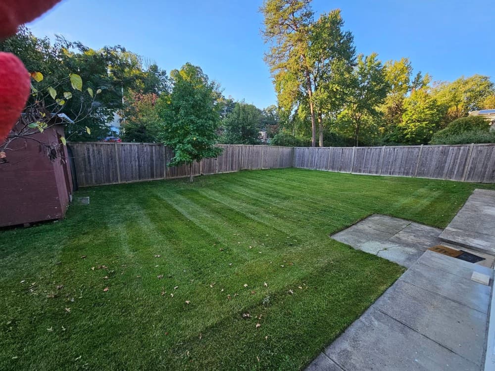 Professional Seasonal Cleanups service in Wichita Kansas by Prestige Lawn Care